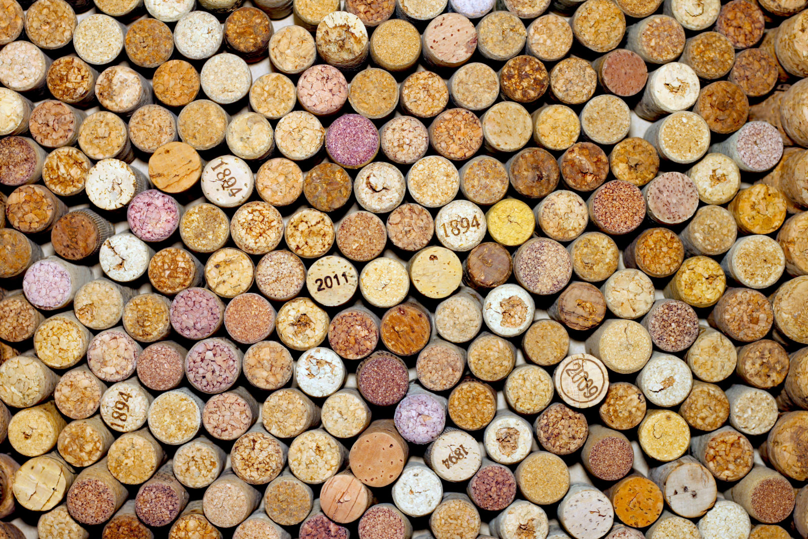 Collection of used wine corks from different varieties of wine